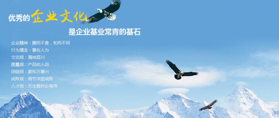 企业文化 对照阅读
