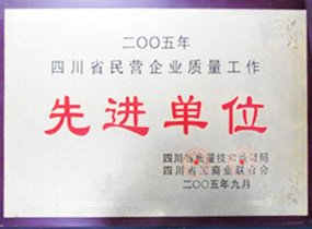 四川泸州巨宏官方网站(中国)官网有限